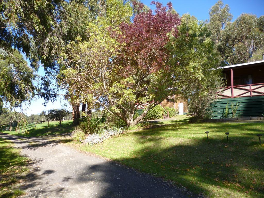 Chester Hill Cottages Traralgon Kültér fotó