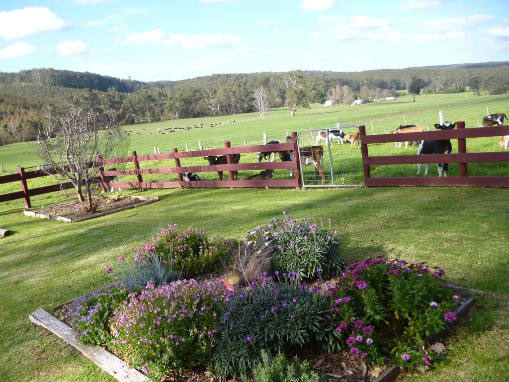 Chester Hill Cottages Traralgon Kültér fotó